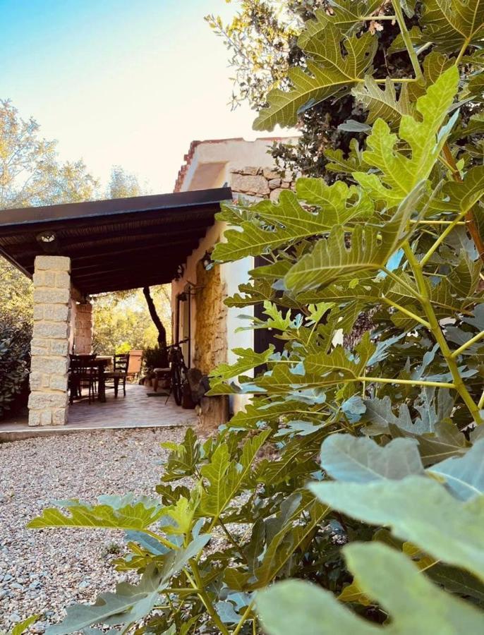 Ovostolai Cottage Fonni Ngoại thất bức ảnh