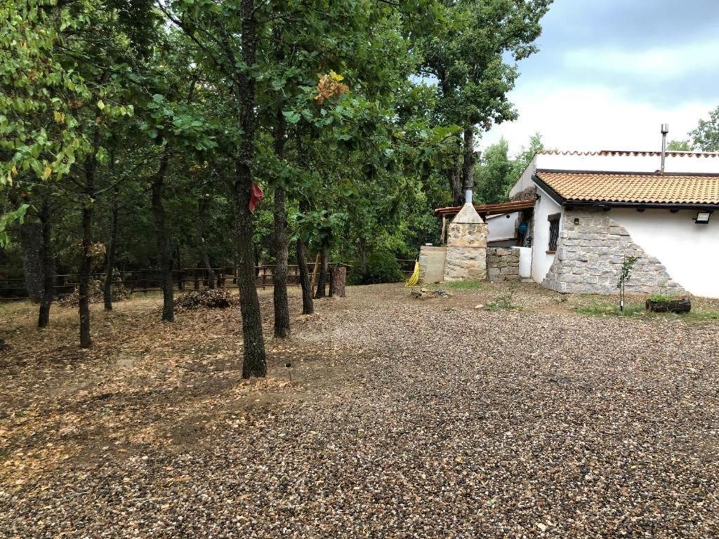 Ovostolai Cottage Fonni Ngoại thất bức ảnh